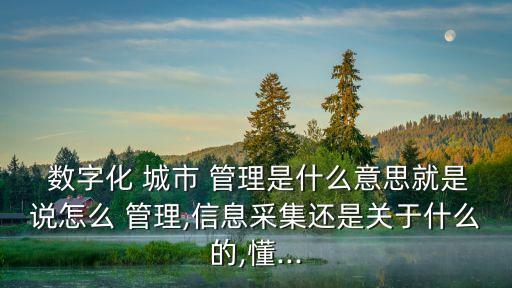  數(shù)字化 城市 管理是什么意思就是說(shuō)怎么 管理,信息采集還是關(guān)于什么的,懂...