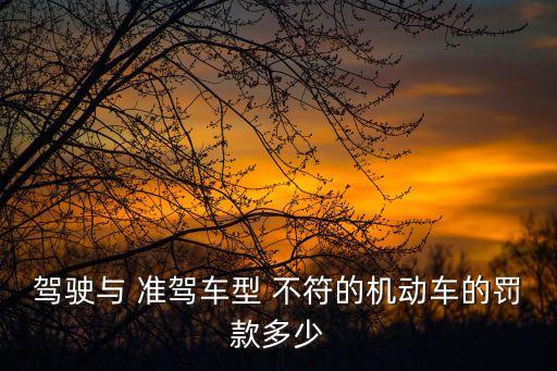 駕駛與 準(zhǔn)駕車型 不符的機動車的罰款多少
