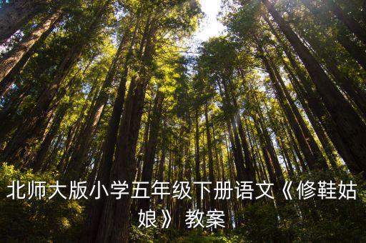 北師大版小學(xué)五年級下冊語文《修鞋姑娘》 教案