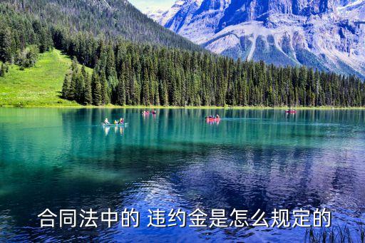 合同法違約責(zé)任規(guī)定,合同糾紛找哪個(gè)部門解決最快