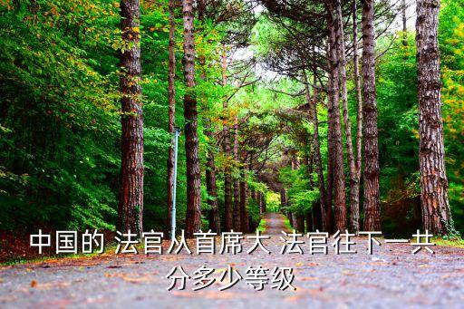 三級(jí)高級(jí)法官
