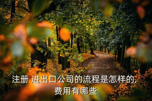 辦理進(jìn)出口權(quán)的費(fèi)用,企業(yè)如何辦理進(jìn)出口權(quán)