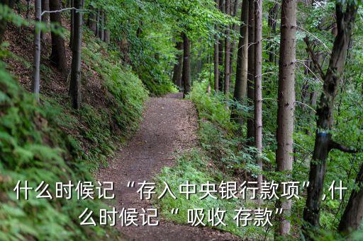 什么時候記“存入中央銀行款項”,什么時候記“ 吸收 存款”