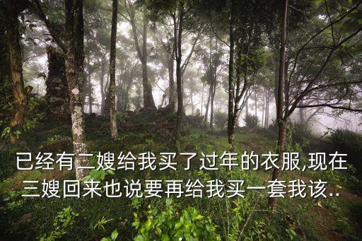 已經(jīng)有二嫂給我買了過年的衣服,現(xiàn)在三嫂回來也說要再給我買一套我該...