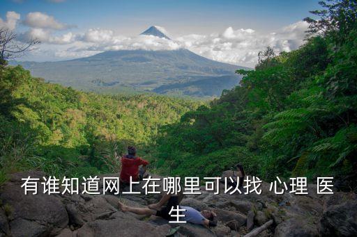 有誰知道網(wǎng)上在哪里可以找 心理 醫(yī)生