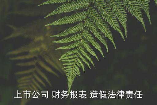 上市公司 財(cái)務(wù)報(bào)表 造假法律責(zé)任