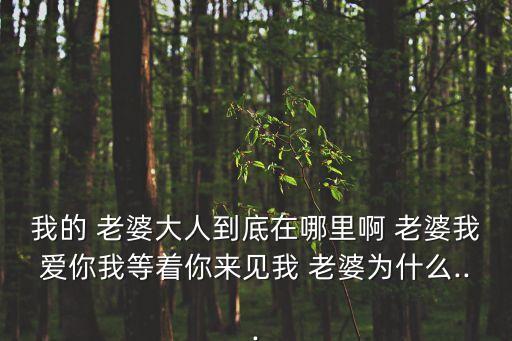 我的老婆在哪里,我老婆在哪里啊