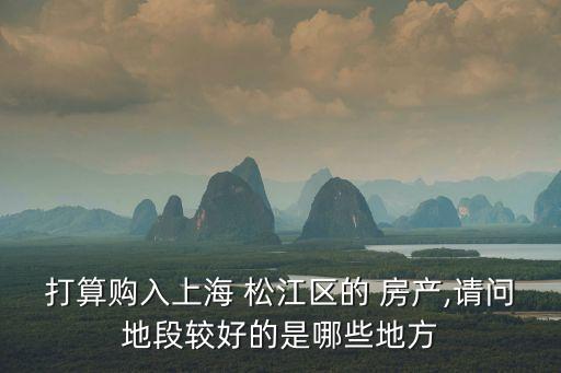 打算購(gòu)入上海 松江區(qū)的 房產(chǎn),請(qǐng)問地段較好的是哪些地方