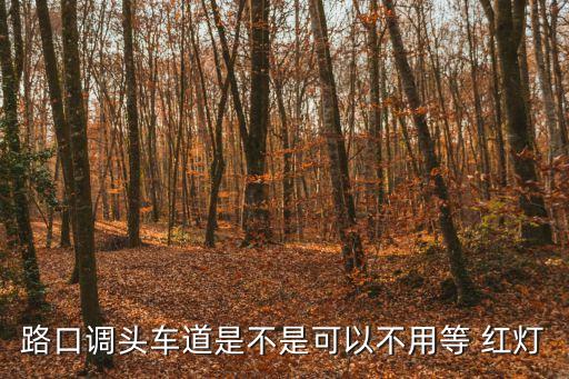 左轉(zhuǎn)掉頭需要等紅燈嗎,可以掉頭的路面標(biāo)線