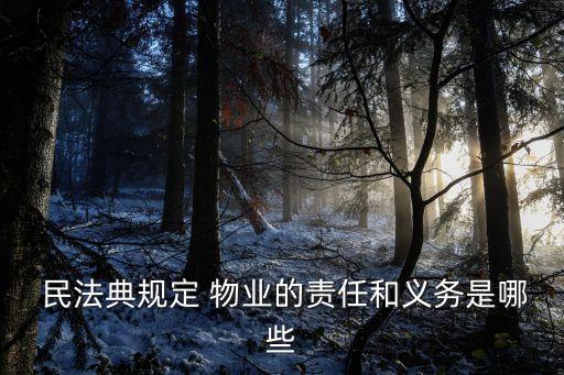  民法典規(guī)定 物業(yè)的責任和義務(wù)是哪些