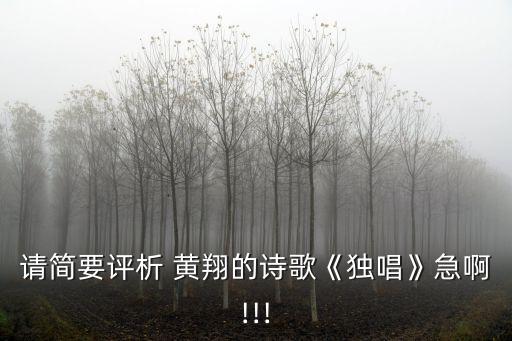 請簡要評析 黃翔的詩歌《獨唱》急啊!!!
