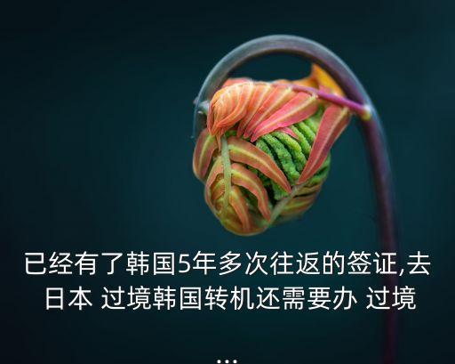 已經(jīng)有了韓國(guó)5年多次往返的簽證,去 日本 過境韓國(guó)轉(zhuǎn)機(jī)還需要辦 過境...
