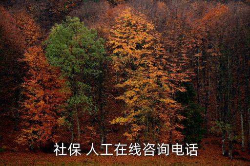  社保 人工在線咨詢電話
