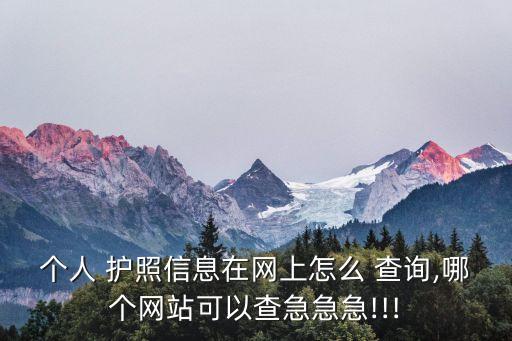 個人 護照信息在網(wǎng)上怎么 查詢,哪個網(wǎng)站可以查急急急!!!