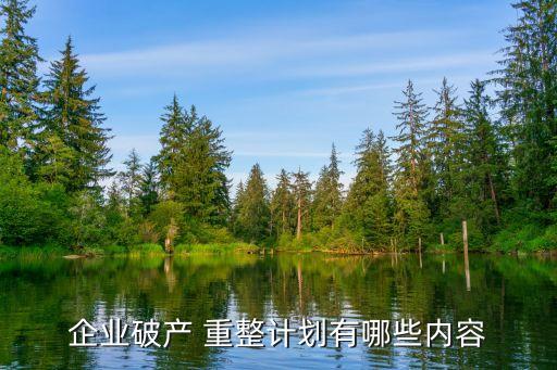重整程序,企業(yè)破產(chǎn)重整程序
