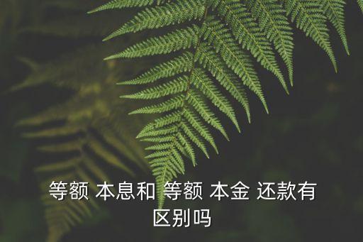  等額 本息和 等額 本金 還款有區(qū)別嗎