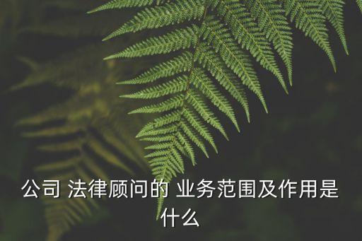 法律業(yè)務,對公大額金融不良資產(chǎn)法律業(yè)務