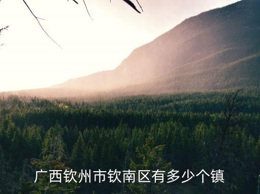 廣西欽州市欽南區(qū)有多少個鎮(zhèn)