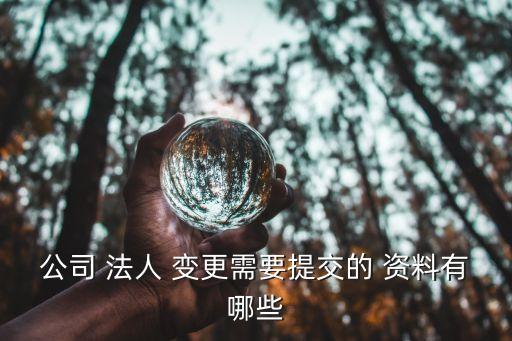 公司 法人 變更需要提交的 資料有哪些