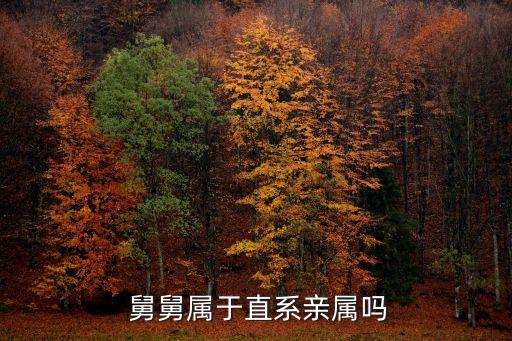  舅舅屬于直系親屬嗎