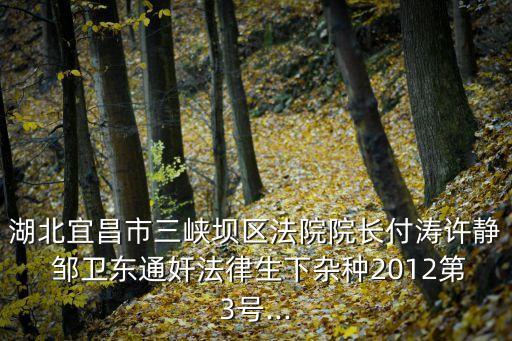 湖北宜昌市三峽壩區(qū)法院院長(zhǎng)付濤許靜 鄒衛(wèi)東通奸法律生下雜種2012第3號(hào)...