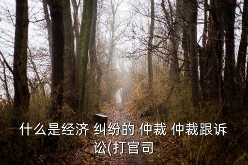 什么是經(jīng)濟(jì) 糾紛的 仲裁 仲裁跟訴訟(打官司
