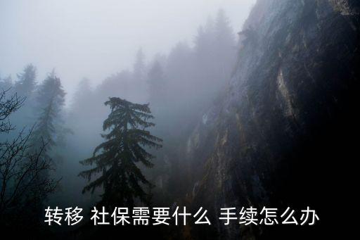 社保轉(zhuǎn)移手續(xù),員工離職15日內(nèi)辦理完社保轉(zhuǎn)移手續(xù)