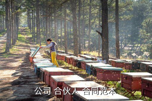 合伙人合同協(xié)議書內(nèi)容,店鋪合伙人合同協(xié)議書電子版