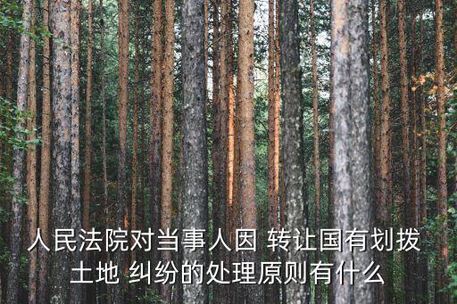 人民法院對(duì)當(dāng)事人因 轉(zhuǎn)讓國有劃撥 土地 糾紛的處理原則有什么