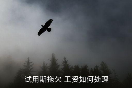  試用期拖欠 工資如何處理