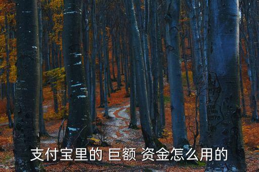 巨額資金,小米公司被印度罰扣巨額資金
