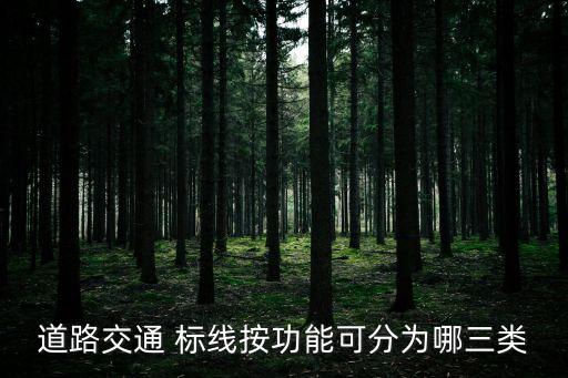 道路交通 標(biāo)線按功能可分為哪三類