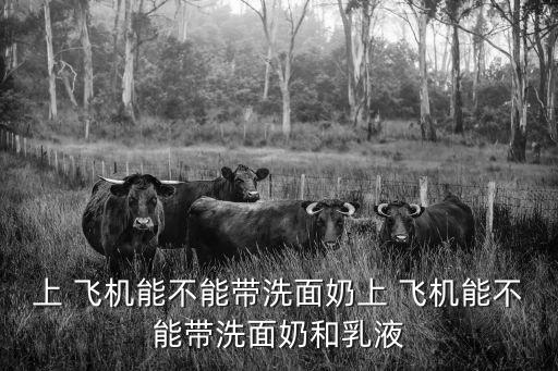 上 飛機(jī)能不能帶洗面奶上 飛機(jī)能不能帶洗面奶和乳液