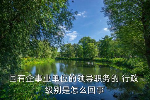 國有企事業(yè)單位的領(lǐng)導(dǎo)職務(wù)的 行政 級別是怎么回事
