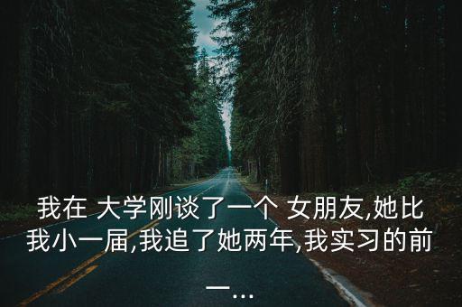 我的大學(xué)女朋友,我的校花女友全文閱讀