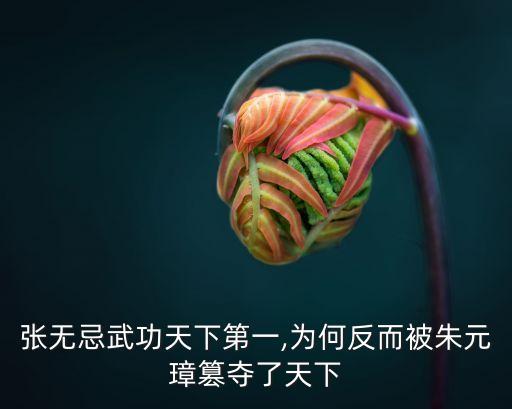 張無忌武功天下第一,為何反而被朱元璋篡奪了天下