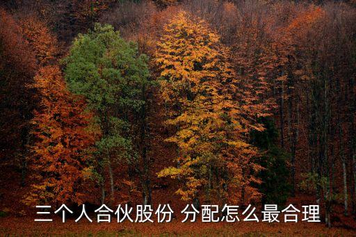 股權(quán)分配方案 合伙人,股東合伙人協(xié)議合同范本免費