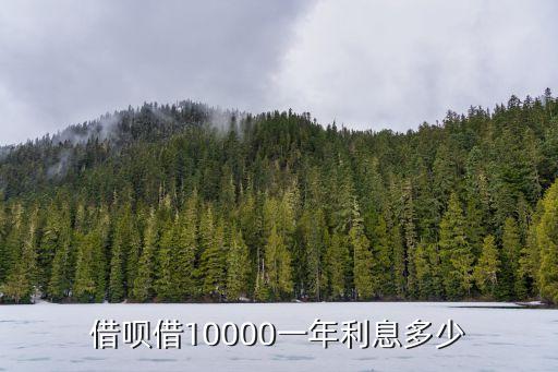 借唄年利率是多少,借唄利息一萬一個(gè)月還多少錢