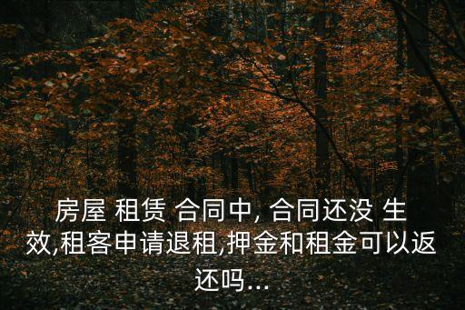 租賃合同不生效,沒有備案的租賃合同生效嗎