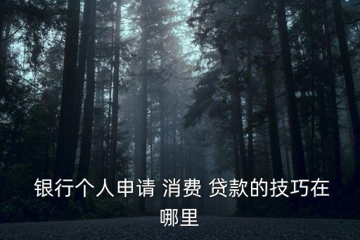  銀行個(gè)人申請(qǐng) 消費(fèi) 貸款的技巧在哪里