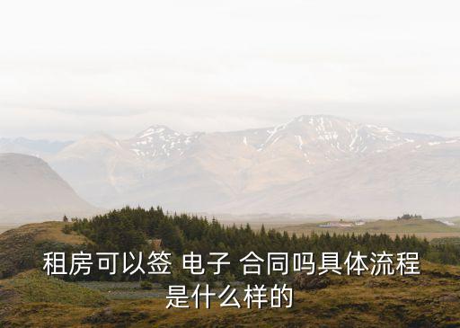  租房可以簽 電子 合同嗎具體流程是什么樣的