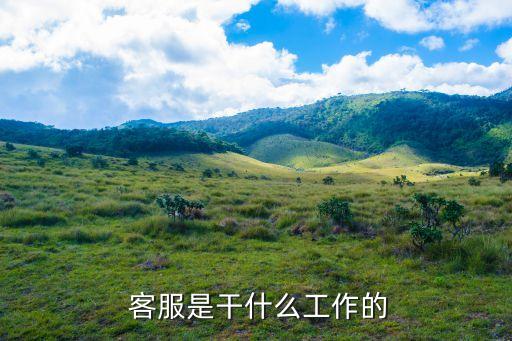  客服是干什么工作的