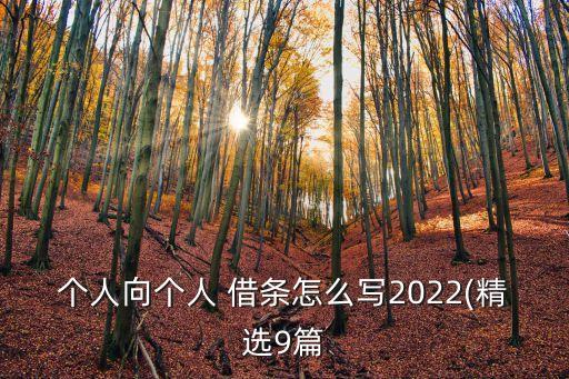 2022年正規(guī)借條模板