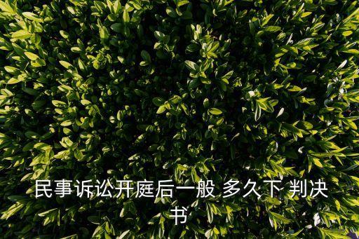 民事糾紛判決多久下來(lái)
