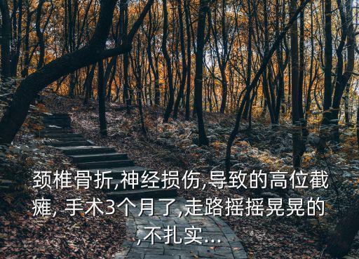  頸椎骨折,神經(jīng)損傷,導(dǎo)致的高位截癱, 手術(shù)3個(gè)月了,走路搖搖晃晃的,不扎實(shí)...