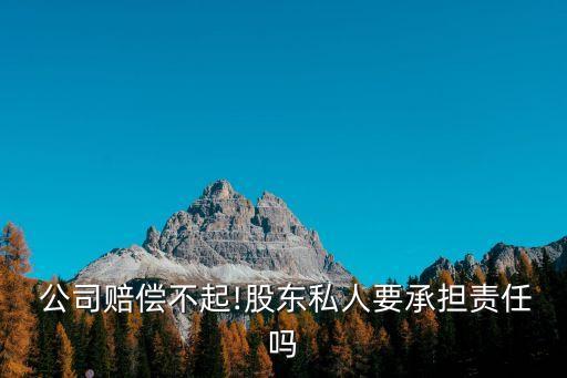 刺破公司面紗,資本顯著不足能否適用刺破公司面紗