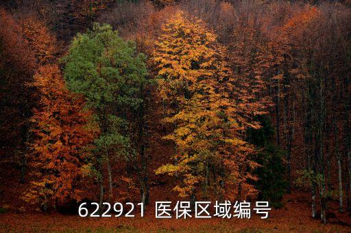 622921 醫(yī)保區(qū)域編號(hào)