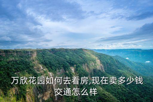 萬(wàn)欣