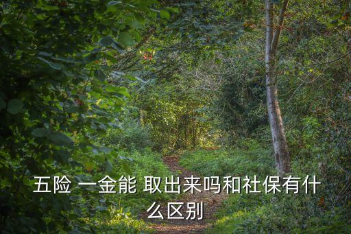 五險一金可以取出來嗎,交了三個月的五險一金可以取出來嗎