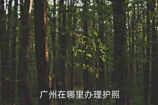  廣州在哪里辦理護(hù)照